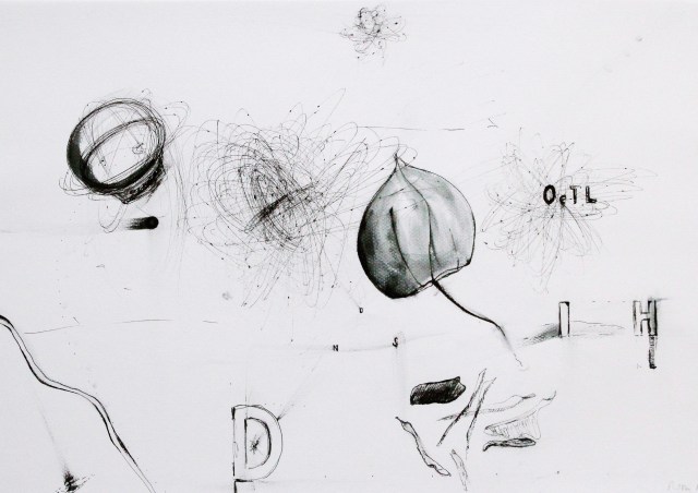 © Wilhelm Roseneder. Getrocknetes Leben, 2012. Zyklus Notizen/Notes. Gelpen auf Papier, 29,6x41,9 cm