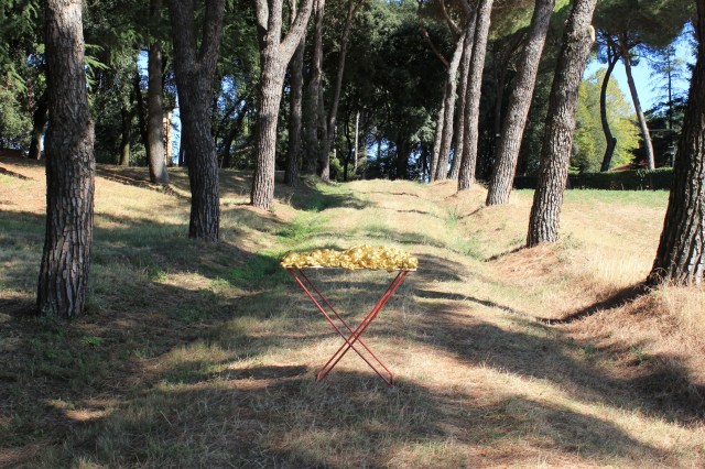 © Wilhelm Roseneder. Goldene Erweiterung/Golden expansion, 2005-2009. Polyurethan, Acryllack auf Metal (Wäschetrockner)/Polyurethane, acrylic varnish on metal (clothes-dryer), 1.11x1.12x60 cm. Artist in Residence. Domus Artium. Azienda Agricola Colonna. Cervinara, Paliano, Italy. October 2011