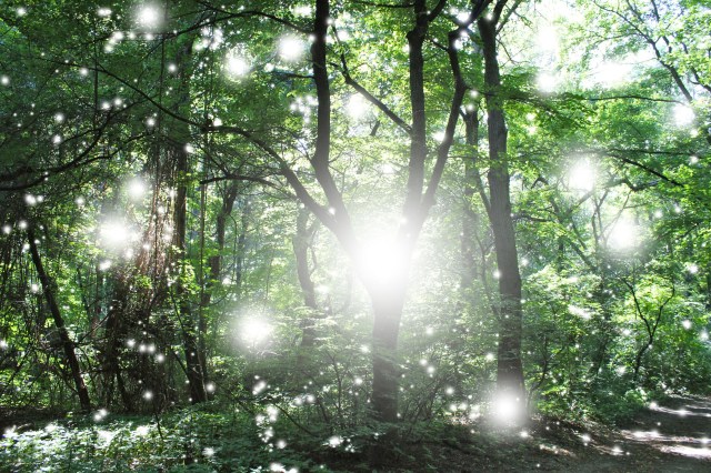 © Wilhelm Roseneder. Light Nr. 15941, 2012. Fotografie/Photography