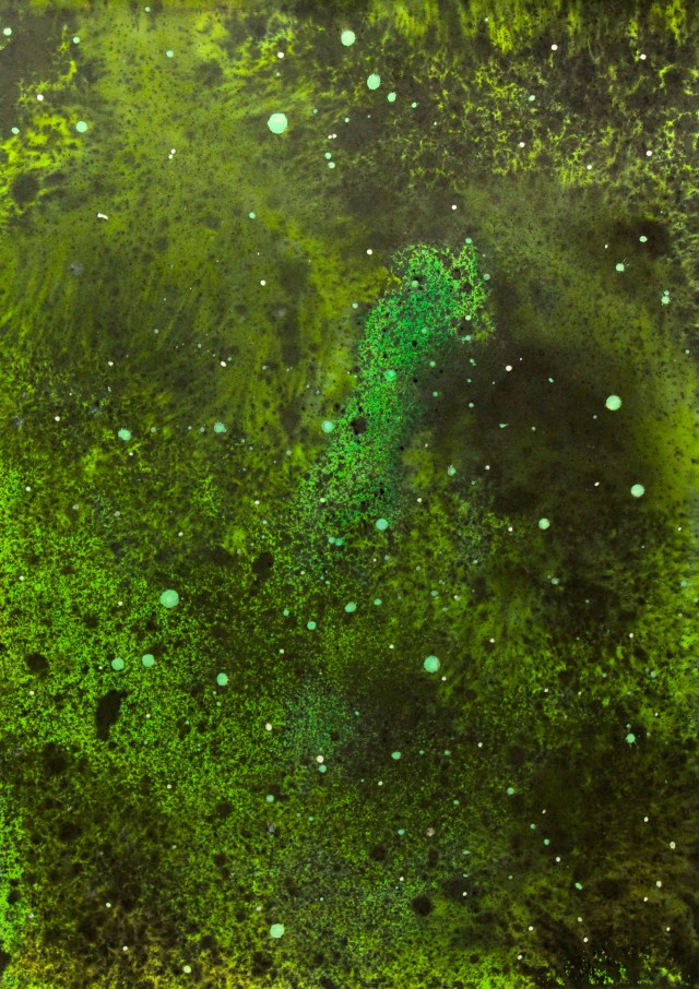 © Wilhelm Roseneder. Sternenbild /Constellation Nr 1030610, 2010. Aquarell, Tusche, chinesische ReibtuscheTusche/Watercolour, ink, Chinese ink, 69,8x50 cm