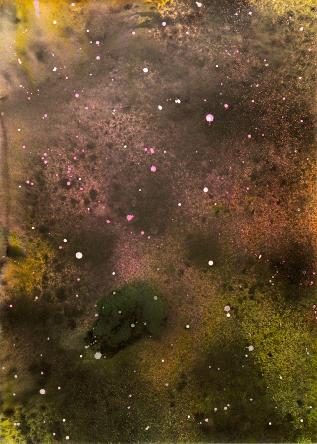 © Wilhelm Roseneder. Sternenbild /Constellation Nr 2040610, 2010. Aquarell, Tusche, chinesische ReibtuscheTusche/Watercolour, ink, Chinese ink, 69,8x50 cm