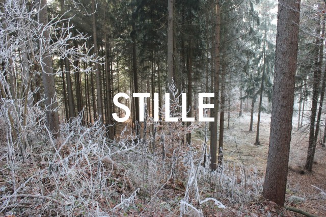 © Wilhelm Roseneder. STILLE Nr. 20361, 2013