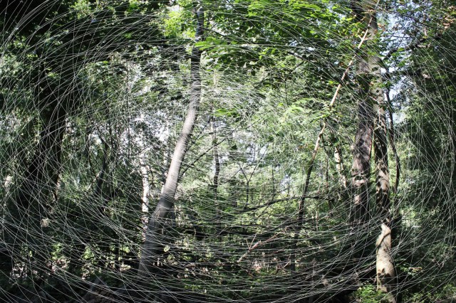 © Wilhelm Roseneder. Woodcut Nr.15904. Photography