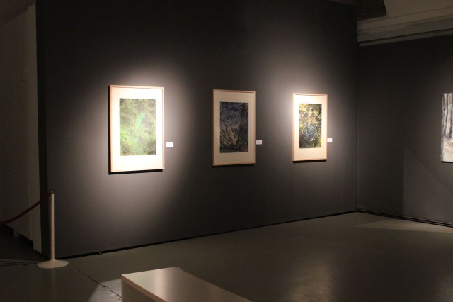 © Wilhelm Roseneder. Eisenstadt. Sternenlandschaft Nr. 14100610. Bildein. Sternenlandschaft Nr. 6080610. Raiding. Sternenlandschaft Nr. 1030610, 2010. Aquarell, Tusche, chinesische Tusche auf Papier/Watercolor, ink Chinese ink on paper, 2010. Landscapes. Landesgalerie Burgenland. Eisenstadt, Burgenland Austria 2014