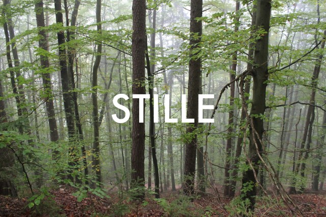 © Wilhelm Roseneder. STILLE Nr. 1510122, 2012