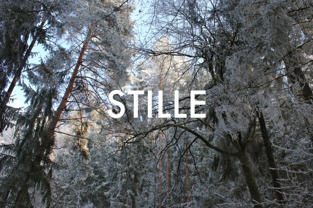 © Wilhelm Roseneder. STILLE Nr. 11130, 2013